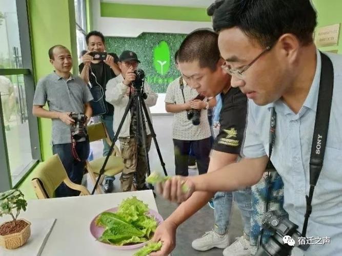 网眼看宿豫 走在幸福的大道上，共筑网络文化新篇章